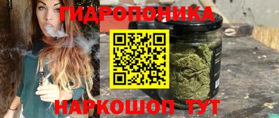 ГАЛЛЮЦИНОГЕННЫЕ ГРИБЫ Коммунар
