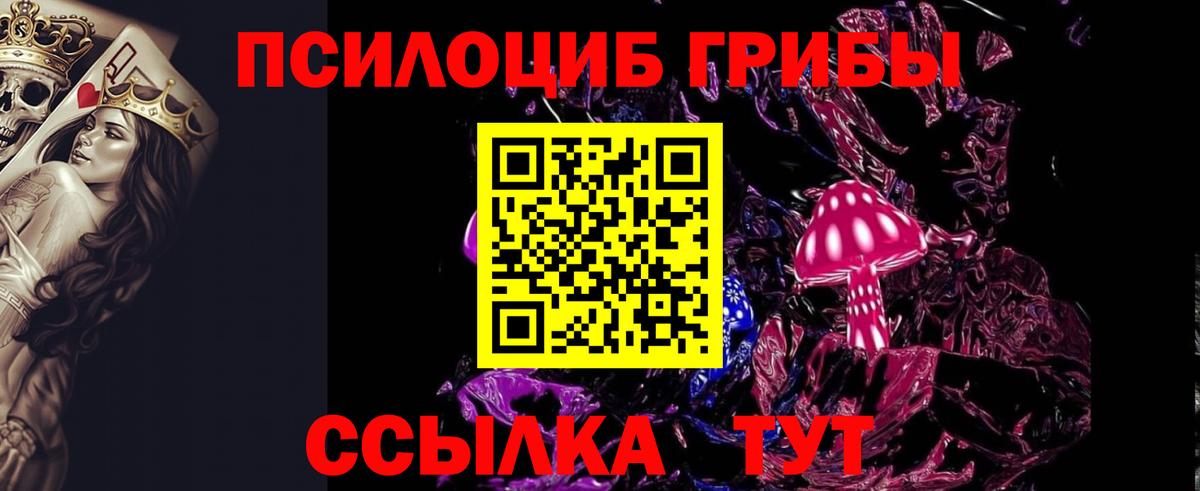 Галлюциногенные грибы MAGIC MUSHROOMS Чайковский